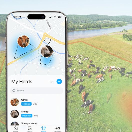 Information about the animal in a clear app