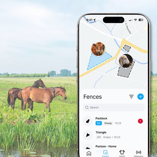 Information about the animal in a clear app